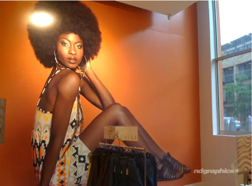 Graphic of lady on orange wall graphic