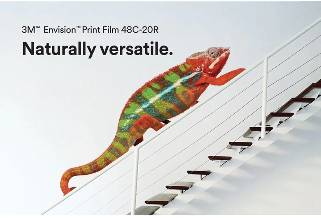 48C-20R Envision PVC-Free Removable labeled on the picture with a multi coloured lizard sliding up the stair railing

