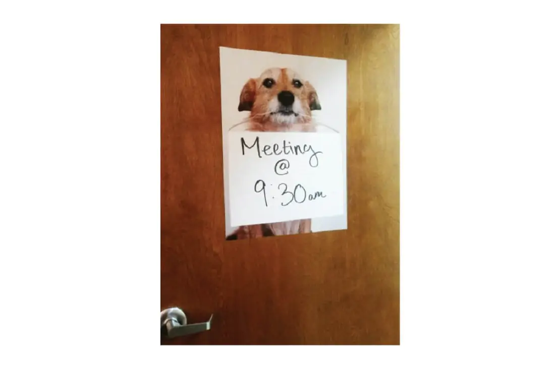 Door with a poster of a dog and on top of that is a note Meeting @ 9:30 am